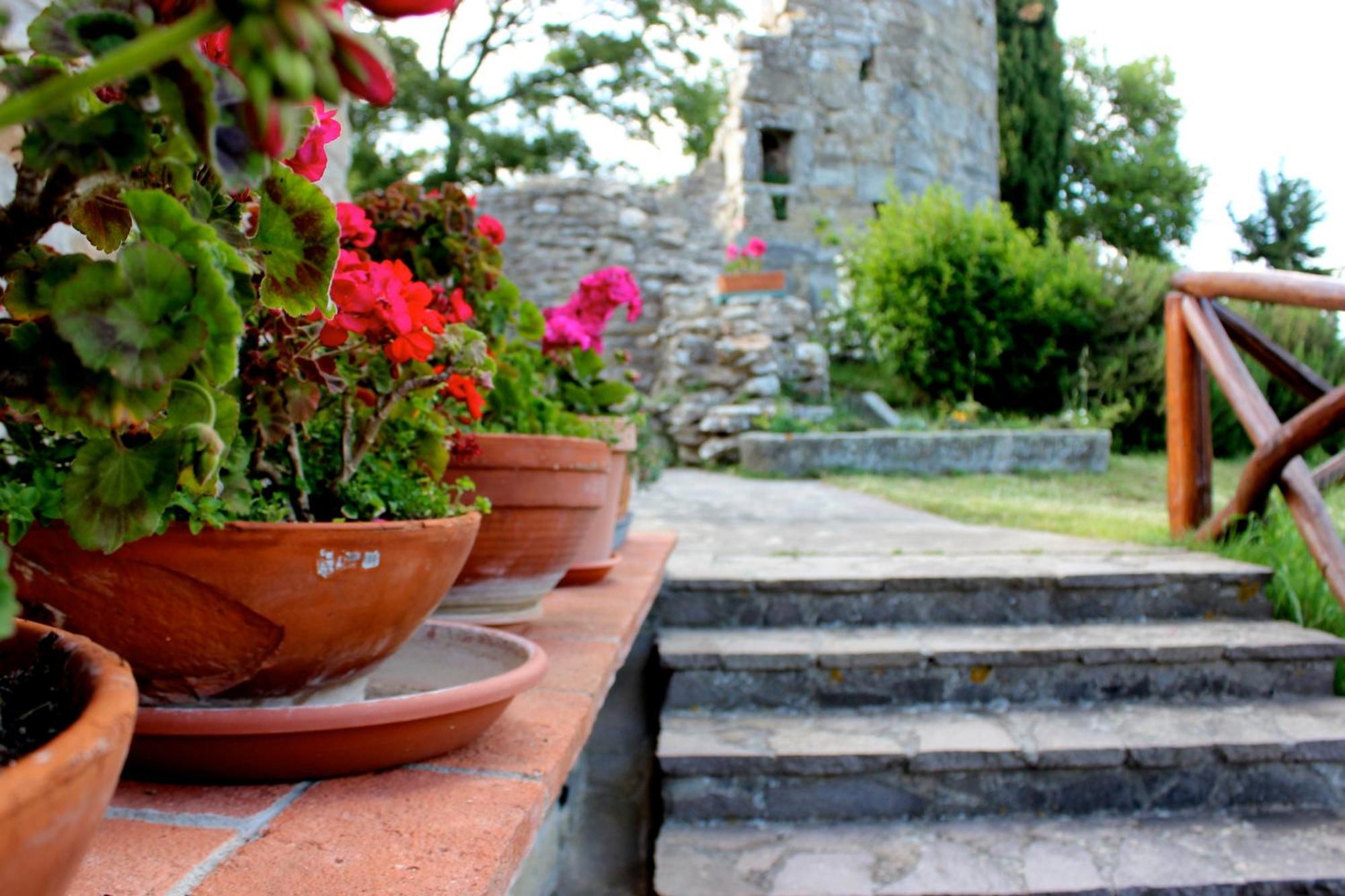 Agriturismo Badia Ficarolo Palazzo del Pero Buitenkant foto